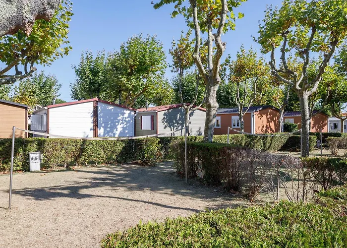 C * Понтеведра