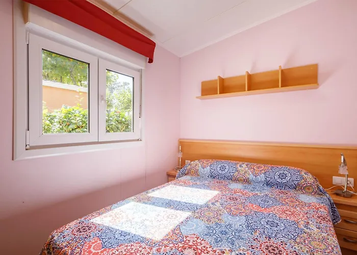 База отдыха C